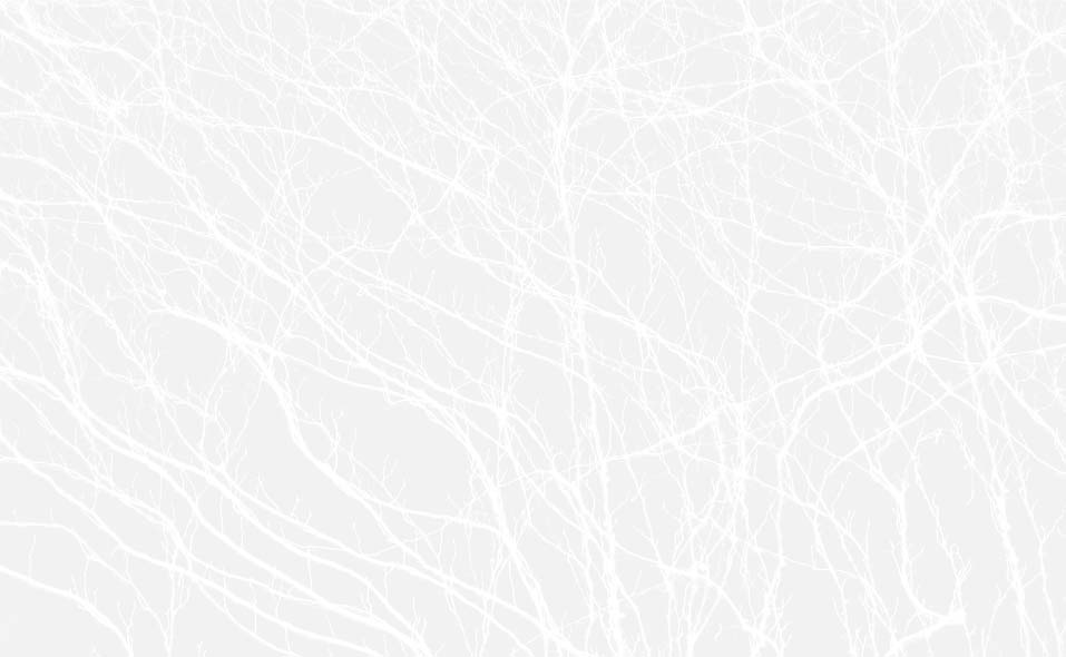 full screen background image